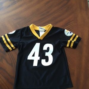 Troy Polamalu PITTSBURGH STEELERS Team Apparel NFL